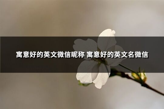 寓意好的英文微信昵稱 寓意好的英文名微信(優選249個)