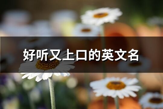好聽又上口的英文名(精選158個)