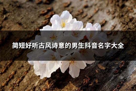 簡短好聽古風詩意的男生抖音名字大全(共216個)