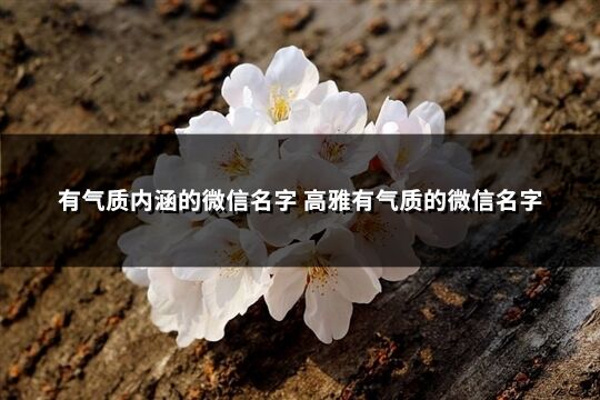 有氣質內涵的微信名字 高雅有氣質的微信名字(優選102個)