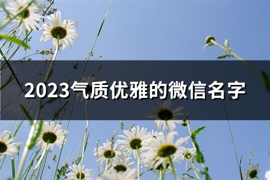 2023氣質(zhì)優(yōu)雅的微信名字(200個(gè))
