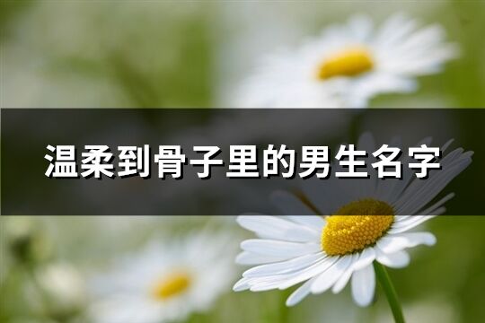 溫柔到骨子里的男生名字(108個)