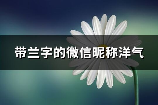 帶蘭字的微信昵稱洋氣(共116個(gè))