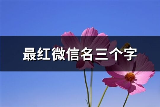 最紅微信名三個字(精選116個)