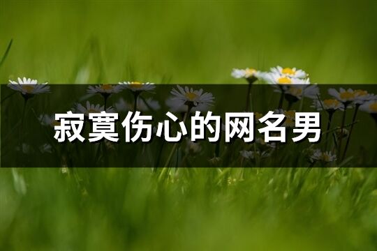 寂寞傷心的網名男(精選192個)