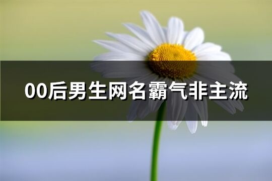 00后男生網名霸氣非主流(精選279個)