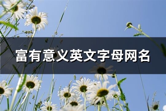 富有意義英文字母網名(精選114個)