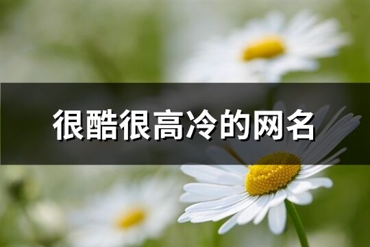 很酷很高冷的網名(166個)