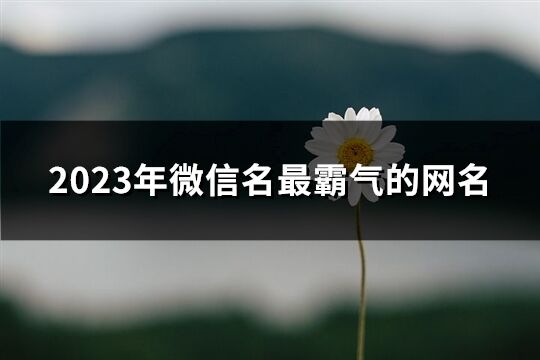 2023年微信名最霸氣的網名(優選168個)