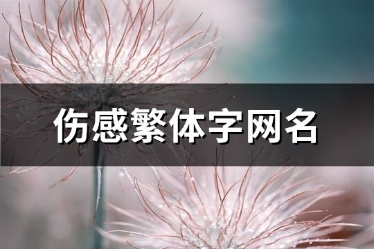 傷感繁體字網(wǎng)名(優(yōu)選177個)