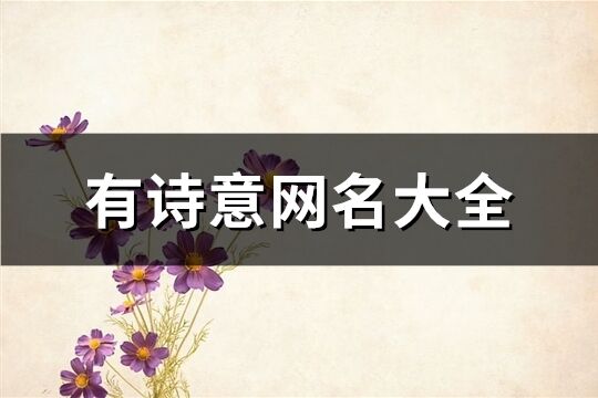 有詩意網名大全(優選312個)