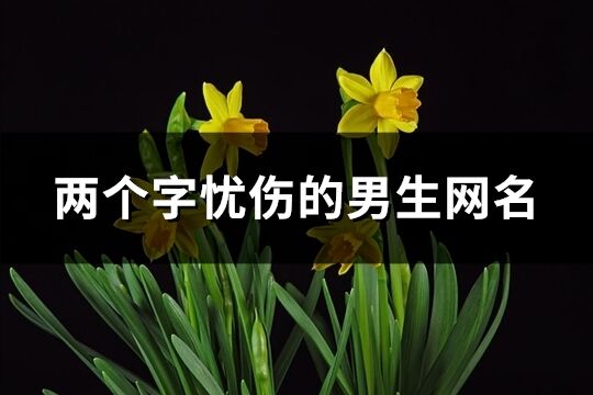 兩個字憂傷的男生網名(優選150個)