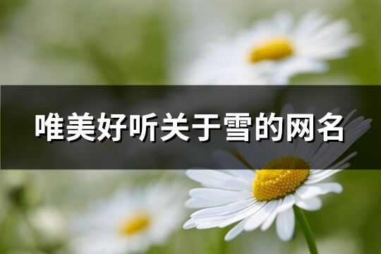 唯美好聽關于雪的網名(共182個)
