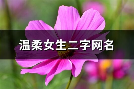 溫柔女生二字網名(共129個)
