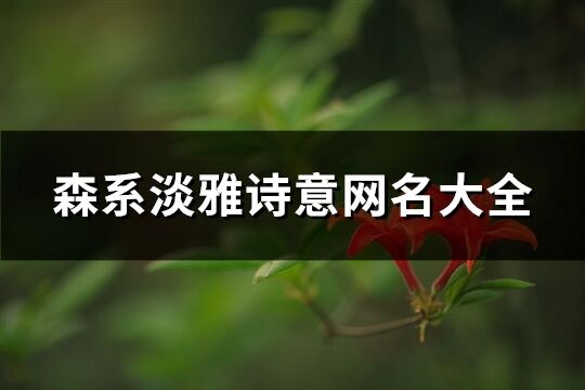 森系淡雅詩意網名大全(143個)