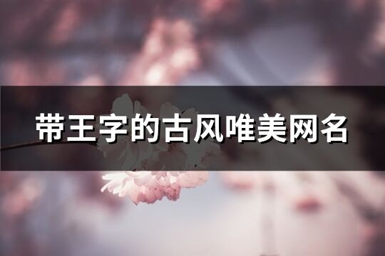 帶王字的古風唯美網名(精選118個)