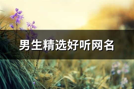 男生精選好聽網名(129個)