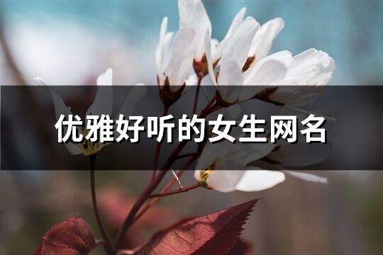 優雅好聽的女生網名(優選114個)