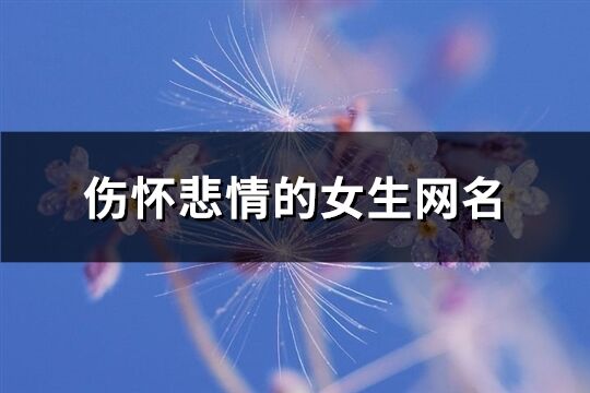 傷懷悲情的女生網名(優選316個)