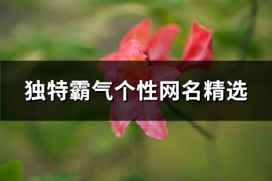 獨特霸氣個性網名精選(205個)