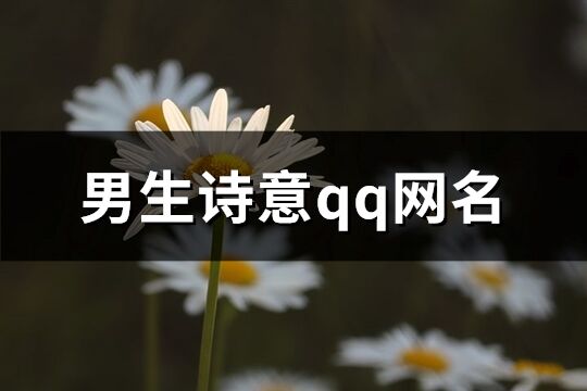 男生詩意qq網名(共190個)