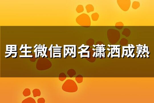 男生微信網名瀟灑成熟(108個)
