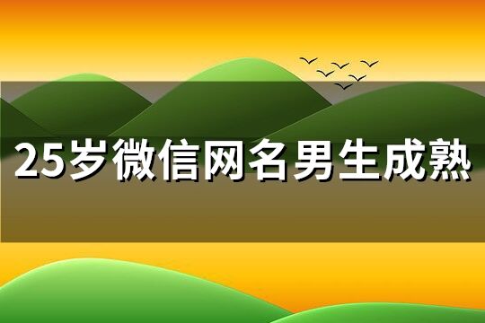 25歲微信網名男生成熟(174個)