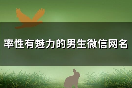 率性有魅力的男生微信網(wǎng)名(共140個)