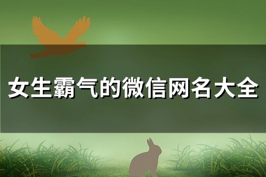 女生霸氣的微信網名大全(共273個)