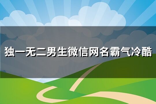 獨一無二男生微信網名霸氣冷酷(優選295個)