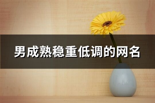 男成熟穩重低調的網名(196個)