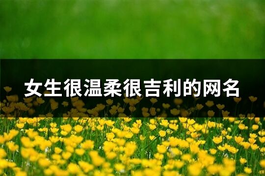 女生很溫柔很吉利的網名(259個)
