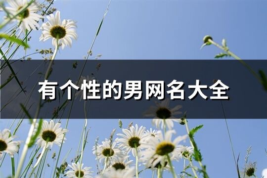 有個性的男網名大全(283個)