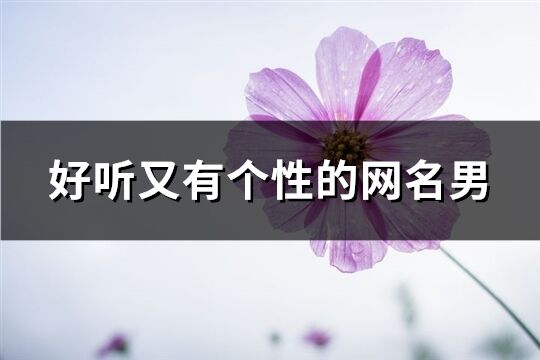 好聽又有個性的網名男(共148個)