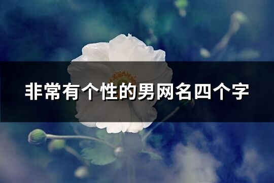 非常有個性的男網名四個字(精選292個)