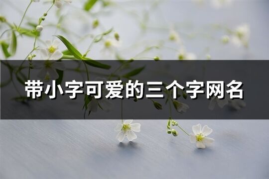 帶小字可愛的三個字網名(共171個)