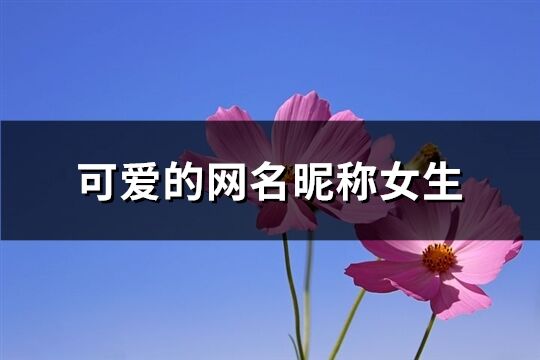 可愛(ài)的網(wǎng)名昵稱(chēng)女生(優(yōu)選242個(gè))