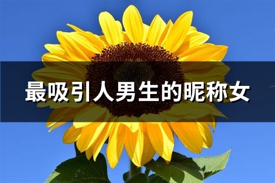最吸引人男生的昵稱女(優(yōu)選190個)