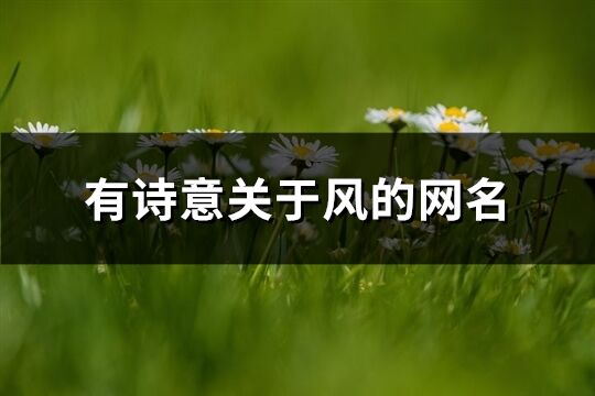 有詩意關于風的網名(100個)