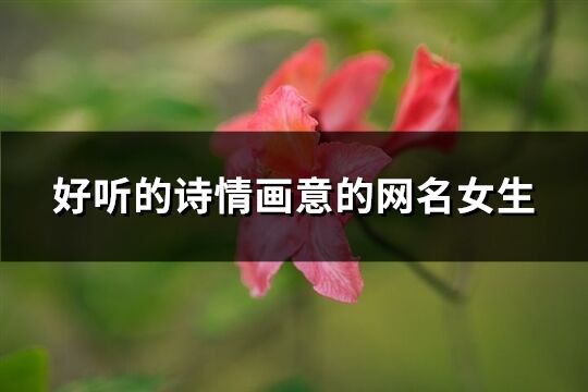 好聽的詩情畫意的網(wǎng)名女生(184個)