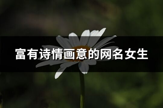 富有詩情畫意的網名女生(共203個)