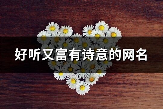 好聽又富有詩意的網名(優選131個)