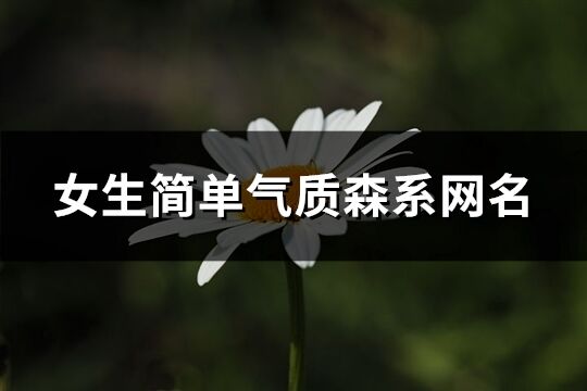 女生簡單氣質森系網名(106個)