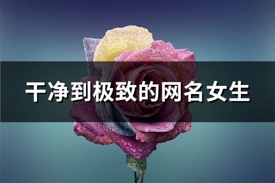 干凈到極致的網(wǎng)名女生(優(yōu)選155個(gè))