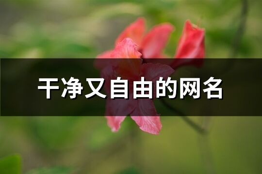 干凈又自由的網名(共264個)