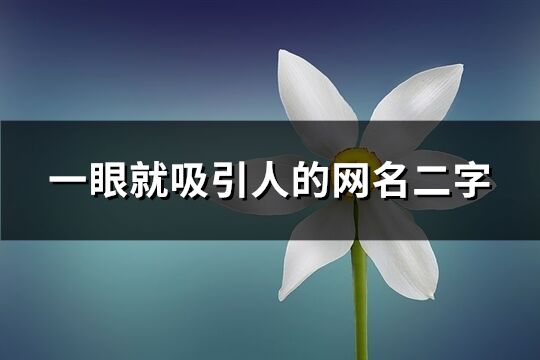 一眼就吸引人的網(wǎng)名二字(151個)