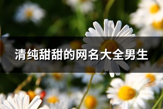 清純甜甜的網名大全男生(精選123個)