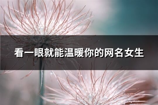 看一眼就能溫暖你的網(wǎng)名女生(優(yōu)選75個(gè))