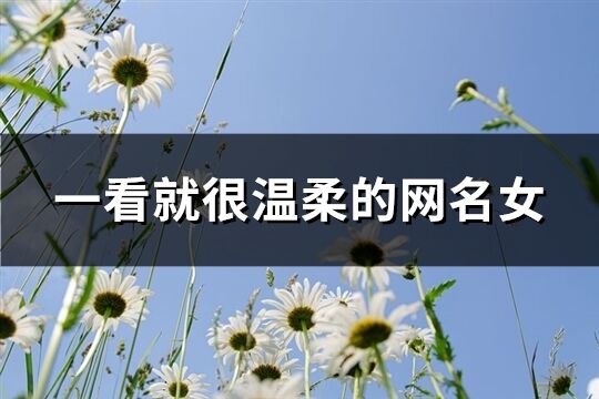 一看就很溫柔的網名女(優選278個)