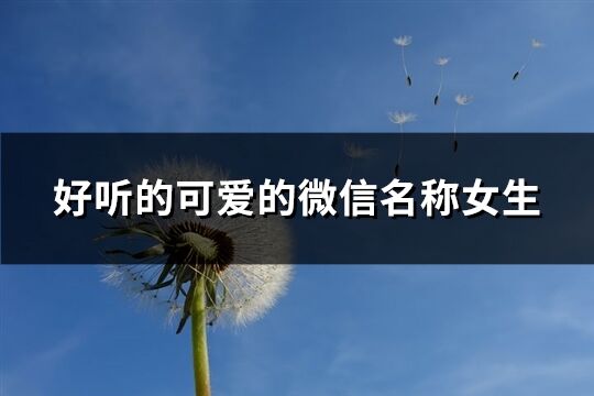 好聽的可愛的微信名稱女生(305個)